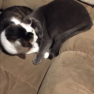 Meet your Posher, Penny